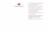 Informe deuda provincial cippes   junio 2013 web final