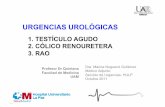 Urología. dra noguerol