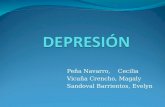 Depresion bipolar