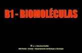 B1 biomoléculas pdf