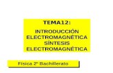 2f 04 d síntesis electromagnetismo