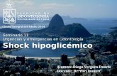 Seminario 11 shock hipoglicémico