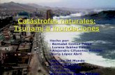 Catástrofes naturales. inundaciones y tsunamis