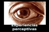 Experiencias Perceptivas 1