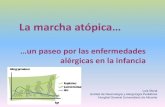 Ponencia Dr. Luis Moral_Un paseo por la alergia_APEPA2014