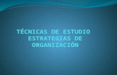 Estrategias para la organización de la información textual