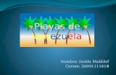 Playas De Venezuela