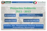 Proyectos de Obra Pública 2011 presentados en COPLADEM Tampico