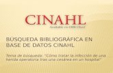 Búsqueda bibliográfica en base de datos CINAHL
