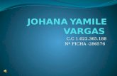 Johana yamile vargas presentacion power point