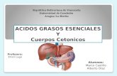 Metabolismo de Lípidos, Sistema de Insaturación y Formación de Cuerpos Cetónicos.