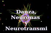 Danza, Neuronas Y Neurotransmisores
