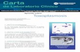 Aprenda Sobre: Toxoplasmosis (Carta 13)
