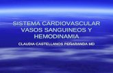 Sistema Cardiovascular Vasos Sanguineos Y Hemodinamia