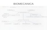 Biomecanica clase 1