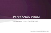 Percepción visual   leyes y ejemplos plásticos