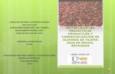 G 359 producción y comercialización de alevinos de tilapia roja