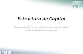 1. estructura de capital   parte 2
