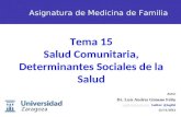 Salud comunitaria y dss(1)