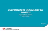 Charla colanta elites enfermedades vacunables MSD Finca Productiva Salud Del Hato