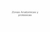 53381261 zonas-anatomicas-y-protesicas