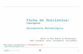 GIE - E - Ficha de Iniciativa - Presentación - 2010 10 10