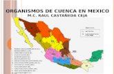 Organismos de cuenca en mexico (slideshare)