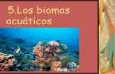 Los biomas acuáticos_by_Beatriz