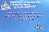 PROGRAMA NACIONAL DE INFORMACIÓN, CAPACITACION Y ASESORÍA PARA LA JUVENTUD