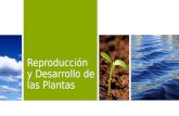 Reproduccion y desarrollo de las plantas