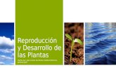 Reproducción y desarrollo de las plantas