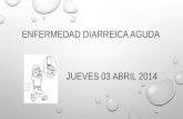 Enfermedad diarreica aguda Nicaragua