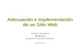 Adecuacion e implementacion sitio web