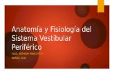 Anatomía y Fisiología del Sistema Vestibular Periférico