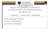 Ayudantia Aspectos Biomecanicos Y Clinicos De La Contraccion Muscular