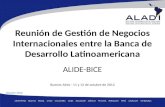 Reunión ALIDE-BICE: Miguel Rognoni, Dpto. de Promoción del Comercio y Desarrollo de la Competitividad, Asociación Latinoamericana de Integración-ALADI