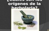 Cuáles son los orígenes de la herbolaria