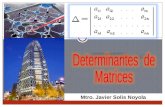 Determinantes de matrices álgebra lineal (UIA-Torreón)