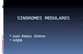 Medula_ SINDROMES MEDULARES