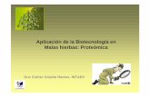 Aplicación de la Biotecnología en Malas hierbas: Proteómica