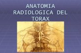 Anatomía radiológica del tórax