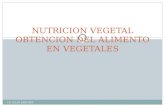 Nutricion vegetal [autoguardado]