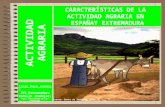 Las actividades agrarias en España y Extremadura
