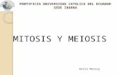 Clase 6 mitosis_y_meiosis