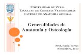 Generalidades de anatomía y osteología