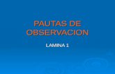 Pautas De Observacion Lamina 1 (Silaba)