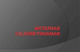 Arterias cilioretinianas