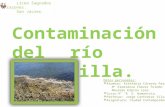 Río Loncomilla investigación