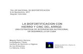La biofortificacion con hierro y cinc del arroz: Una estrategia de intervención nutricional en desarrollo en Cuba