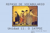 Athenaze Tema 11 Repaso de vocabulario